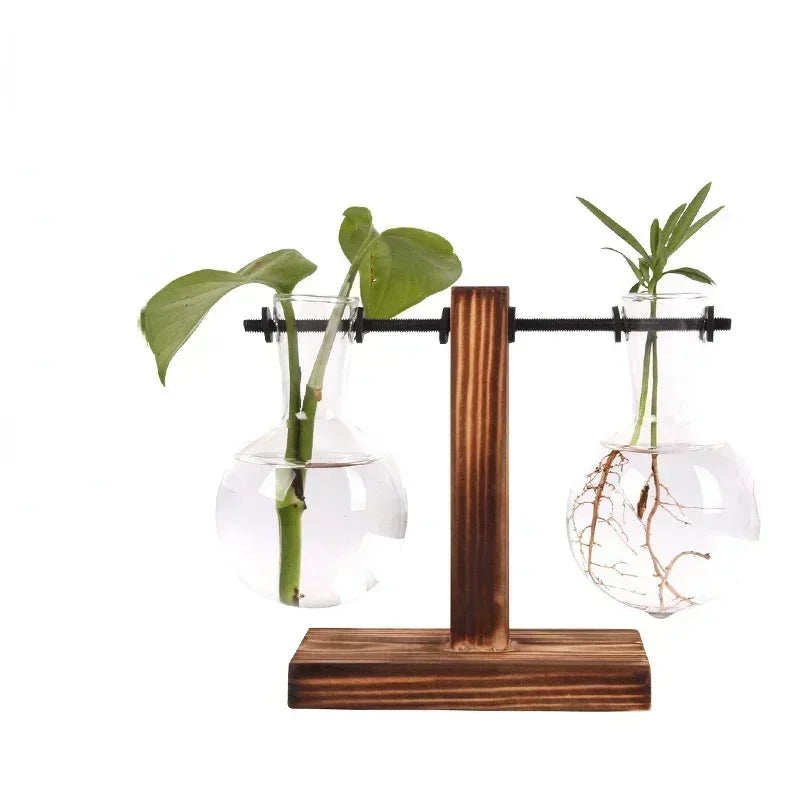 Minimal Propagation Vase — Glass & Wood