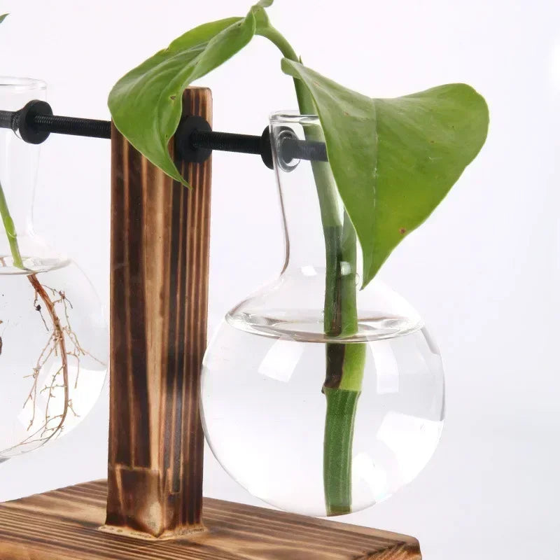 Minimal Propagation Vase — Glass & Wood