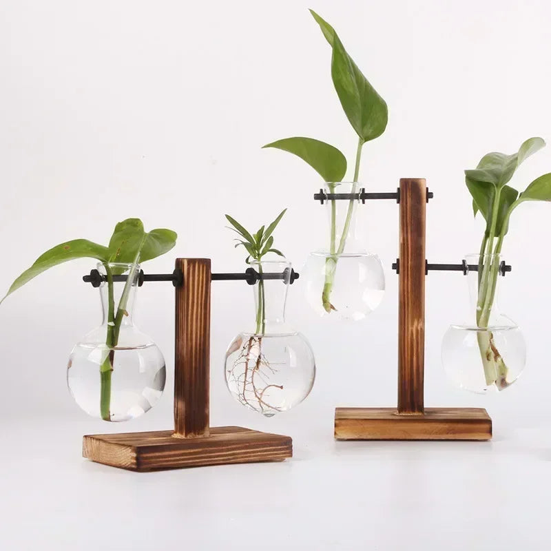 Minimal Propagation Vase — Glass & Wood