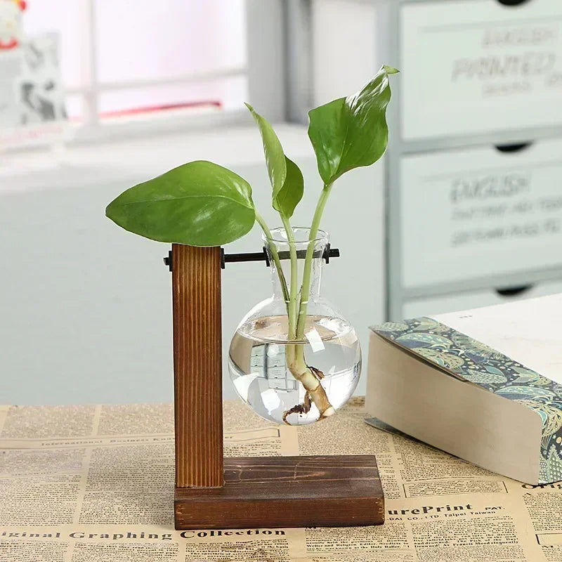 Minimal Propagation Vase — Glass & Wood