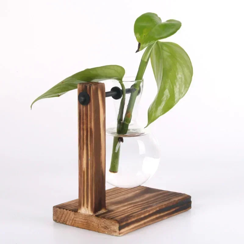Minimal Propagation Vase — Glass & Wood