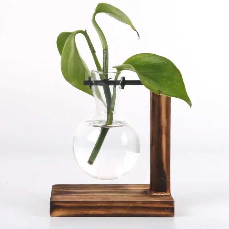 Minimal Propagation Vase — Glass & Wood